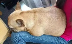 欧美V国产V亚洲V日韩九九